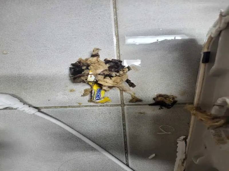 부천 배관 이물질 제거 사례